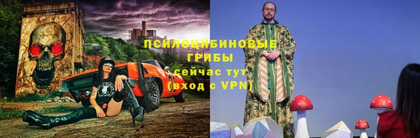 твердый Белокуриха